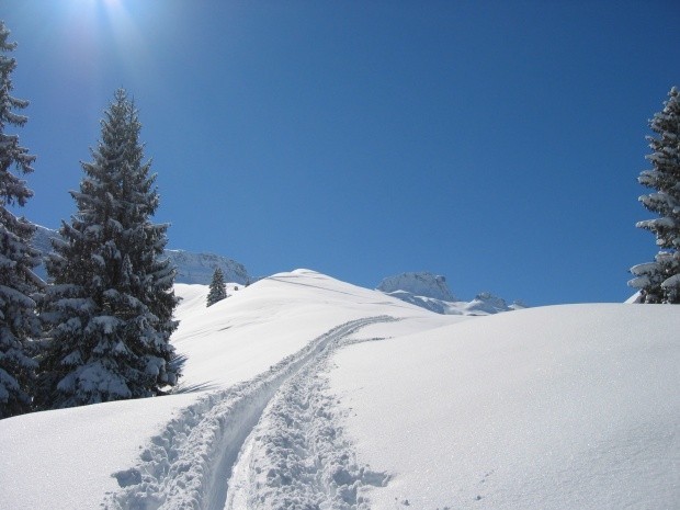 Skitour Glatten