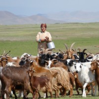 Foto 4 - Klettern in der Mongolei Leben mit Nomaden
