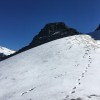 Giglistock Solobesteigung vom Nordgrat mit Bärenspuren