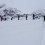 1.2.2014: Skitouren-Schnupperkurs Kiental