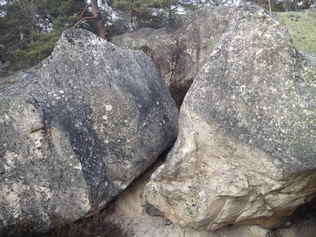 Boulderparadies Fontainebleau