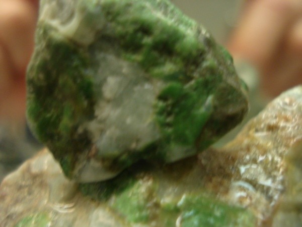 Ein Stein der mit dem Gletscherschwund zum Vorschein gekommen ist gefunden im