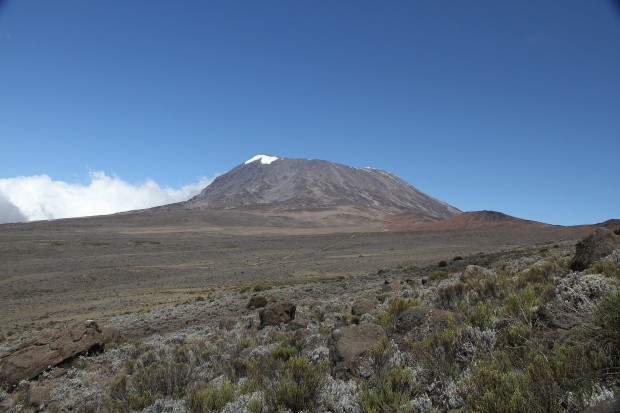 Kilimanjaro 5985 m ue M 