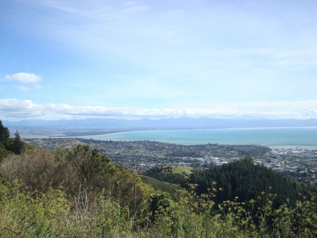 New Zealand_153392