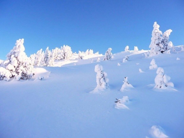 Schneeschuh bei Sarnen Laengis Fueuerstei Februar 2012 am kaeltesten Tag