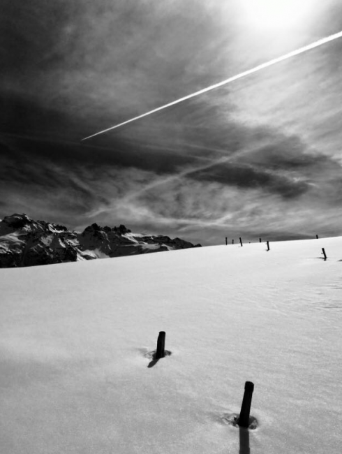 Schneeschuhtour Alp Tamons 2015