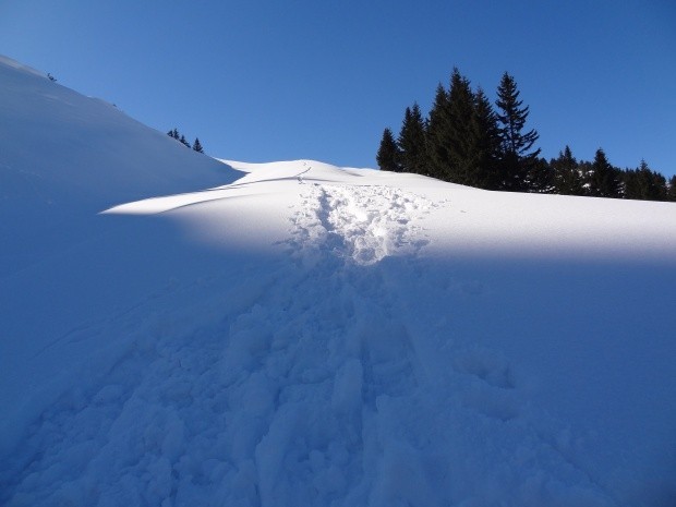 Schneeschuhtour Alpstein_155260