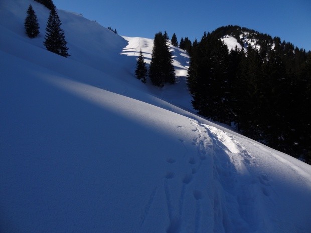 Schneeschuhtour Alpstein_155261