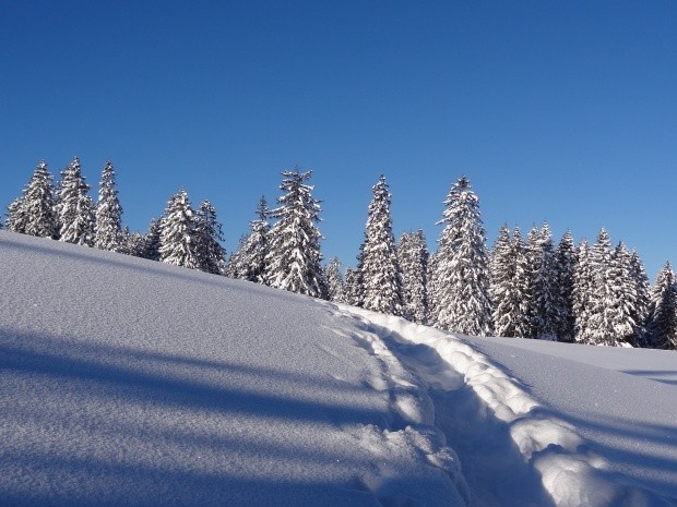Schneeschuhtour im ob Toggenburg_155252