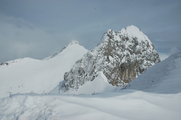 Voralpen im Hintergrund Ochsen Gantrischgebiet 