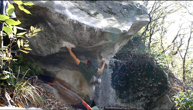 Cresciano Jungle Book sit fb 8a 