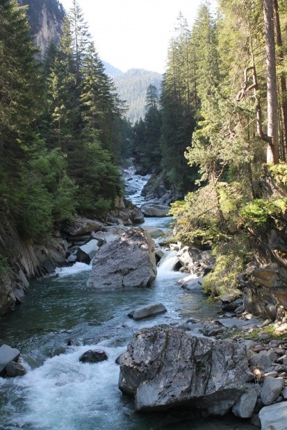 Der Magic Wood_156458