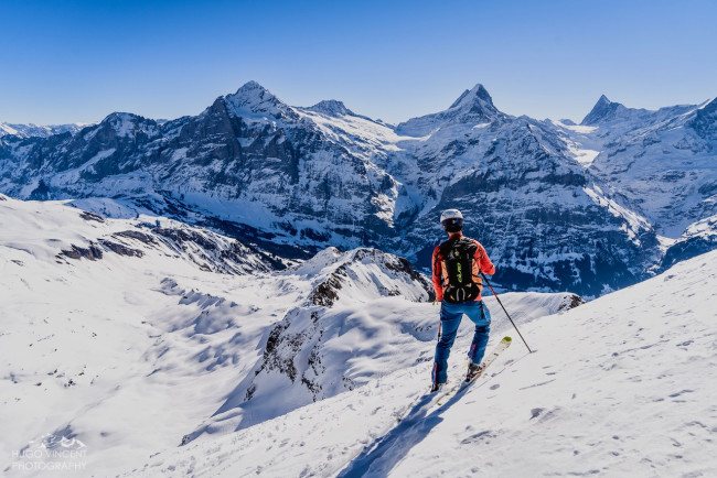 Peau de phoque_175919